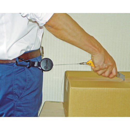 DAIKEN Keyback 0.6m Stainless Steel Chain with Carabiner KB-8B 1 pc