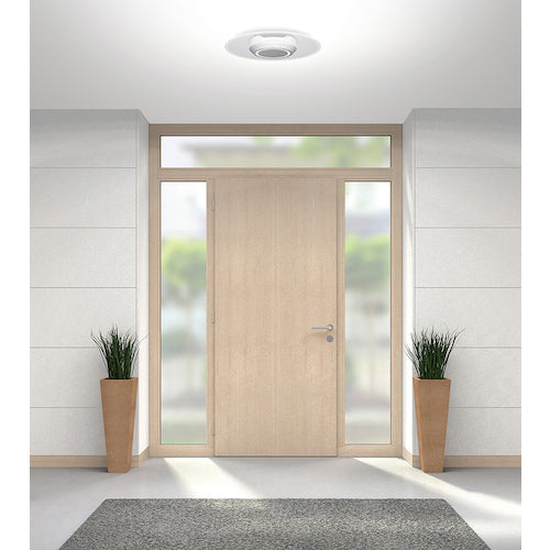 IRIS 529232 Small ceiling light with light guide plate, 1500lm, daylight color, white, SCL-150D-LGP, 1 unit