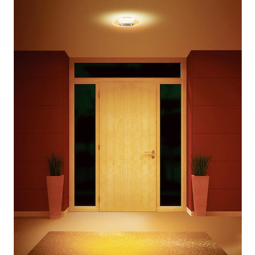 IRIS 529228 Small ceiling light with light guide plate, 750lm, warm white, SCL-75L-LGP, 1 unit