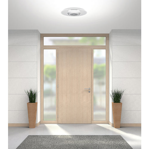 IRIS 529236 Small ceiling light with light guide plate, 1500lm, motion sensor, daylight, white, SCL-150DMS-LGP, 1 unit