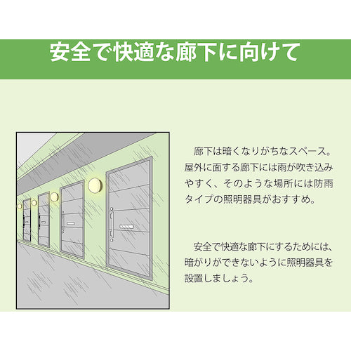 Hotalux LED rain and moisture proof light FL20 equivalent 900lm HWDG22006(MP) 1 unit