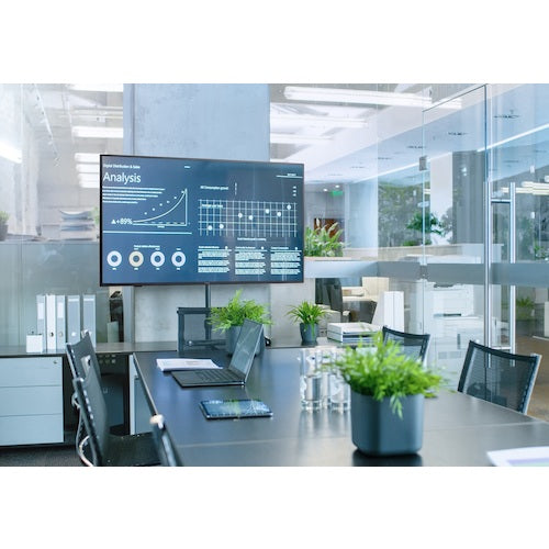 IRIS 107130 大型液晶ディスプレイ 58インチ ILD-B58UHDS-B 1 台