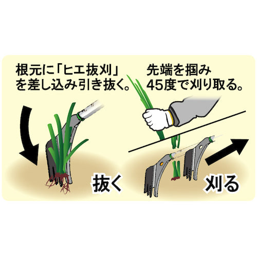 三陽金属 ヒエ抜刈 オレンジ 0868 1 本