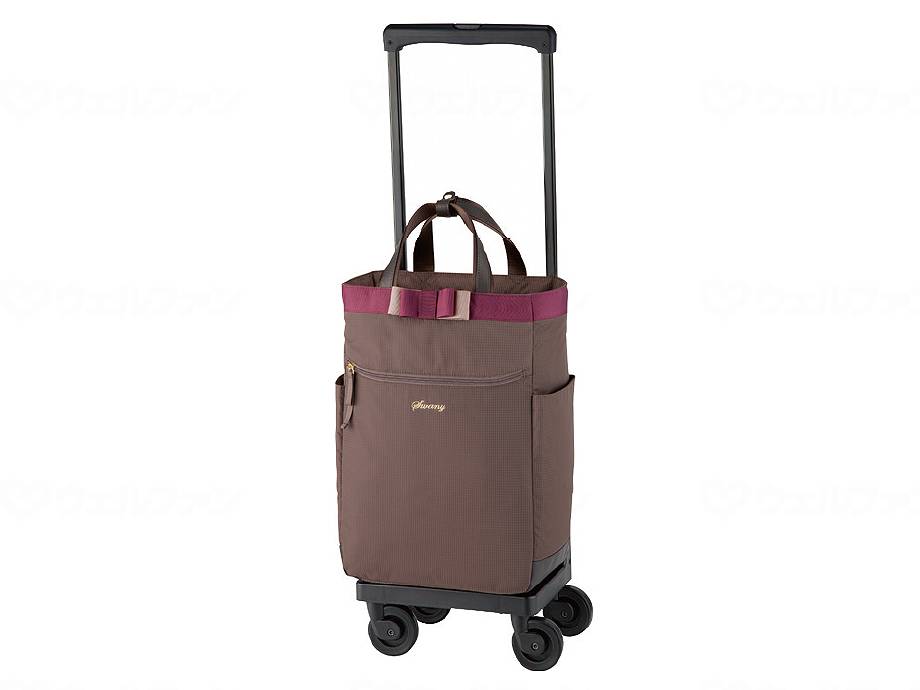 Swany D-574 Ruband III Greyge L-21