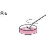 SANSEI 콘라지봉 T형 블랙 05-001B 1상자