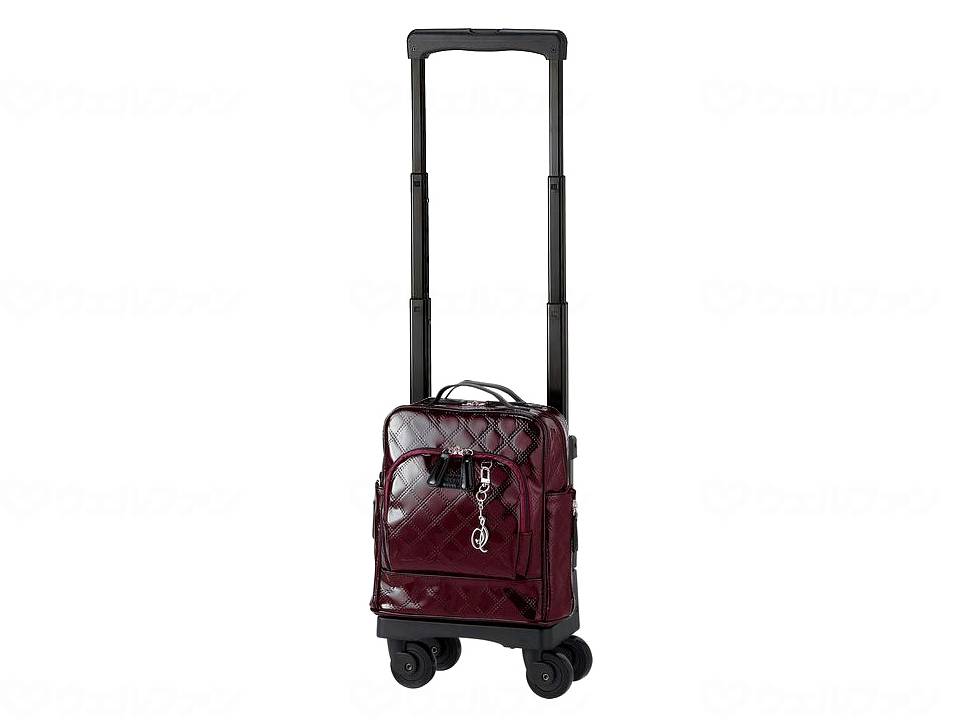 Swany D-591 Emilo VI Bordeaux TS-15