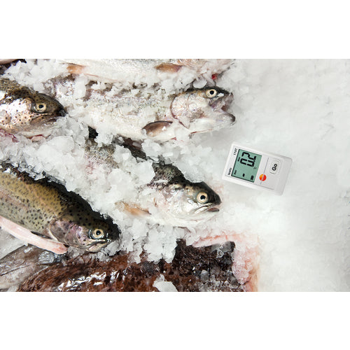 TESTO Temperature Data Logger Testo 174T (Main Unit) TESTO174T 1 unit