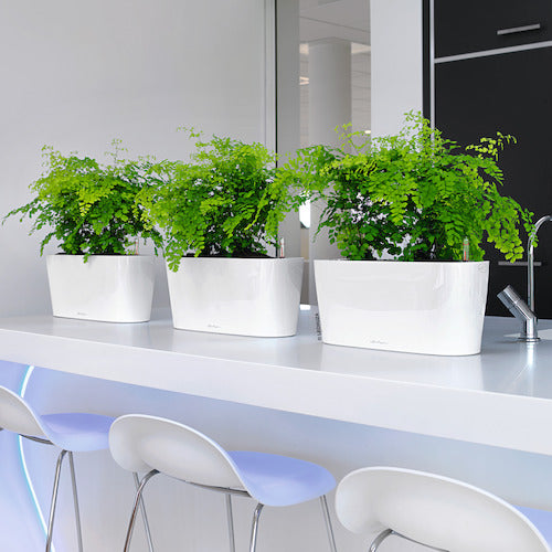 レチューザ 底面給水プランター デルタ10 土容量2L ホワイト 15460 1 個