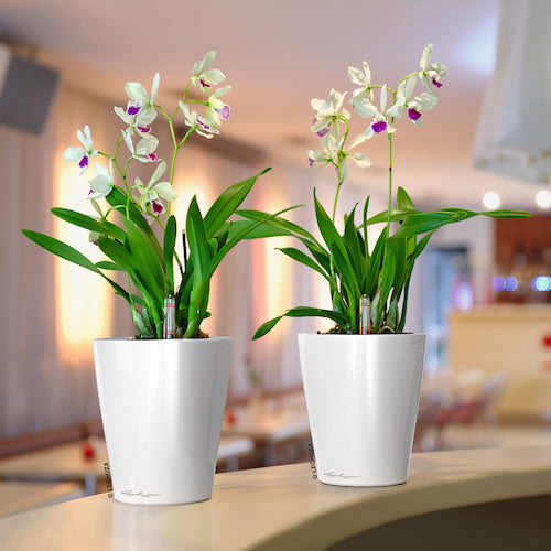 レチューザ 底面給水プランター デルティーニ 土容量1.2L ホワイト 14900 1 個