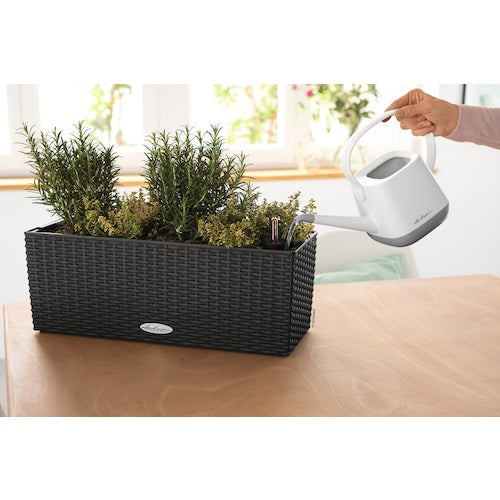 レチューザ 底面給水プランター バルコネラ コテージ グラニット 15602 1 個