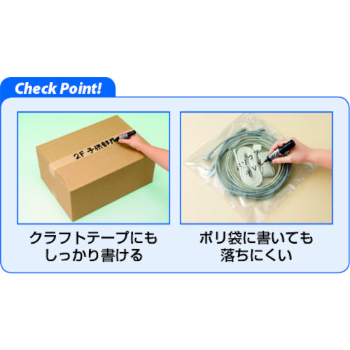 Pilot Oil-based Marker Twin Marker Thin & Thick Green MFN-15FB-G 1 pc