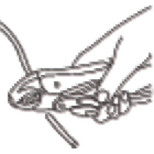 エビ バイスプライヤー カーブタイプ(カッター付) 178mm VW175N 1 丁