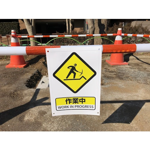 Daio Paper Laser Peach WETY-145 B4 (100 sheets) WETY145B4 1 box