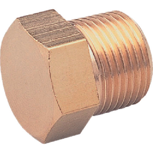 ASOH 六角プラグ PT3/8 HP-1003 1 個