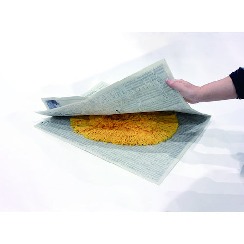 テラモト ニューシャインスプレー CE-486-000-0 1 本