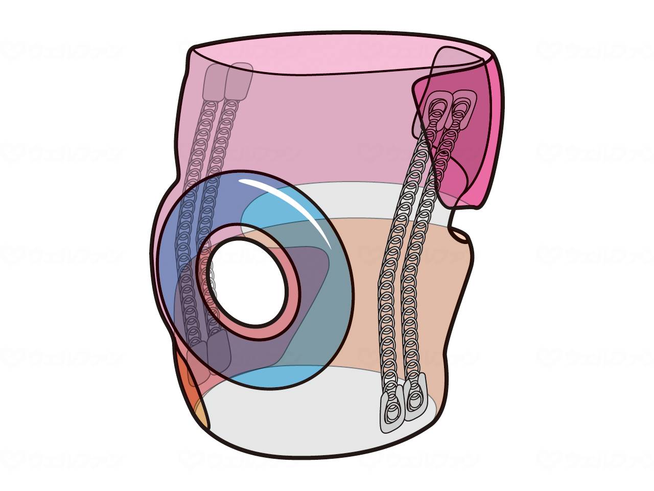 ミューラージャパンひざ安定補強材サポーター