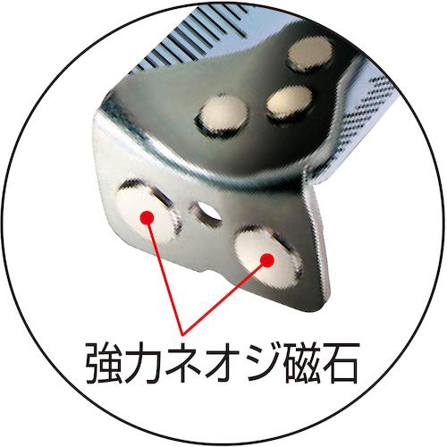 타지마 G3 골드 록 머그네일 25 5.5 미터 눈금 G3GLM25-55BL 1개