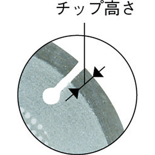 Bosch Diamond Wheel 105PE Segment DS-105PE 1 piece