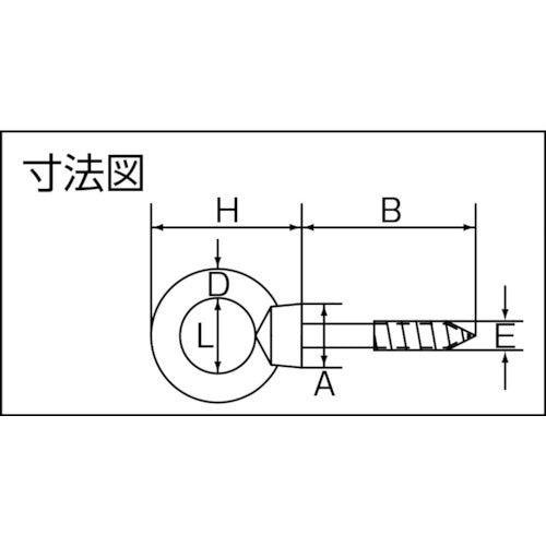 水本 ステンレス アイスクリュー 内径13mm 使用荷重0.29kN B-1141 1 個