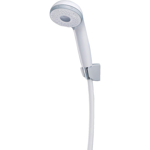 KVK サーモスタット式シャワー(ファインバブルシャワー仕様) KF800HF 1 個