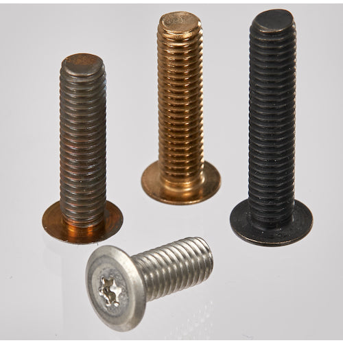 TRUSCO Hex Lobe Ultra Low Head Screw Stainless Steel Bronze M6 x 10 10 Pieces B186-0610 1 PK