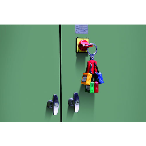 Ifam Flame-retardant multi-hasp for lockout, 6 holes, φ38mm, 090120, 1 piece