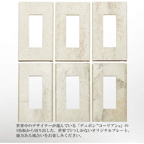 SUGATSUNE (210033142) PXP-CR01-CL 스위치 플레이트 콘센트 플레이트 PXP-CR01-CL 1 식