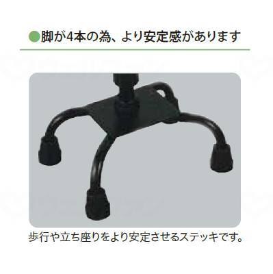 フジホーム4点杖 アンバー 大