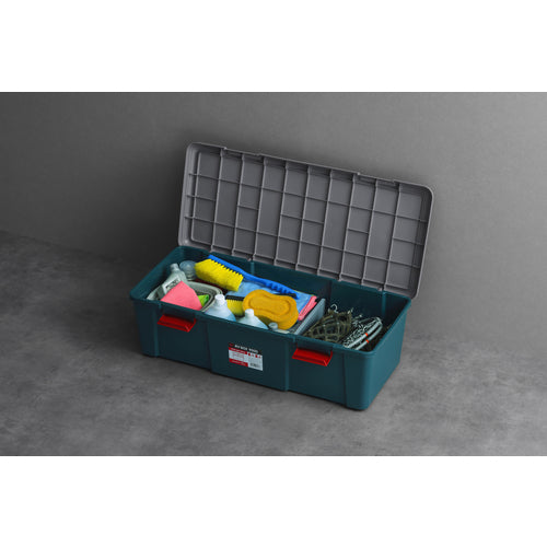 IRIS 298123 RVBOX Gray/Dark Green RV900D-M 1 pc