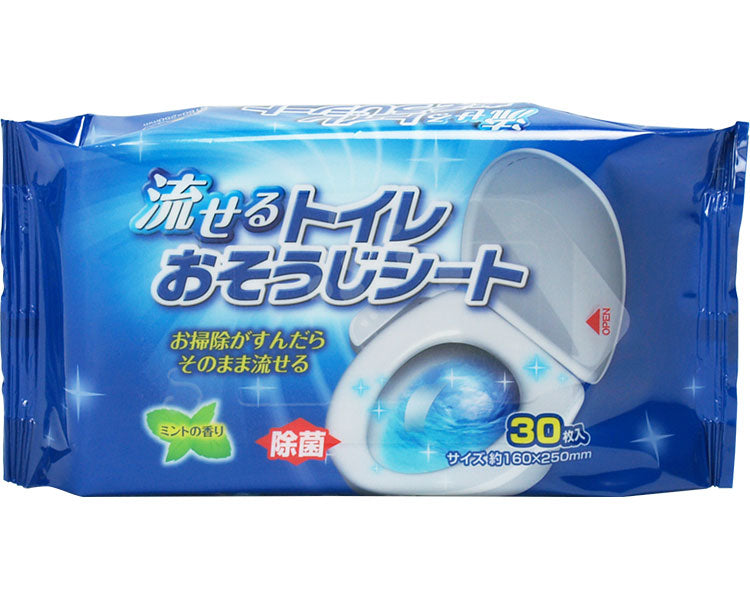 흐르는 화장실 굿모닝 시트 / QB-116 30장입 1봉