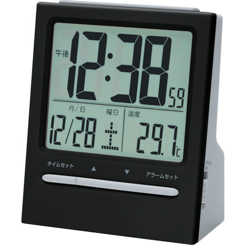 ADESSO 대형 화면 디지털 알람 NA-911 1 개