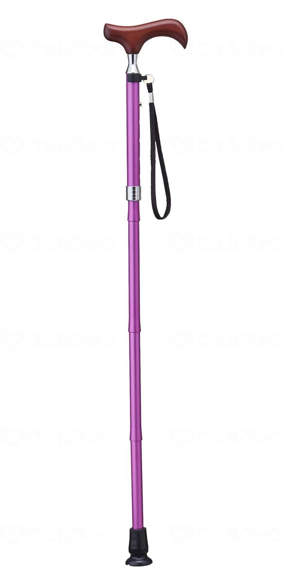 케이 호스피어 아이스 E 시리즈 접이식 타이프 파플