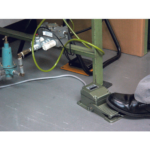 Ojiden Foot Switch, Industrial Weatherproof, Electric Rating 6A-250VAC OFL-TW-SM2, 1 Unit