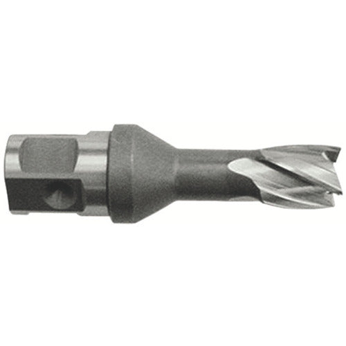 Ikura Light Borer Replacement Blade (High Speed Steel Blade) (51003) HCSQ145 1 pc