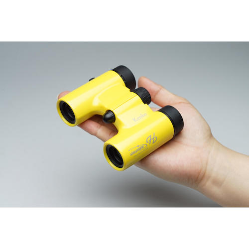 Kenko ultra VIEW H8倍21mm口径(パープル) UVH821DHFMC-PL 1 個