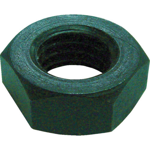 NEWSTRONG Flat Nut Screw 16mm 16M-JN 1 pc