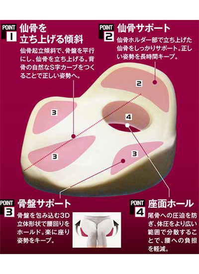 Sacral Cushion Sacral Rhythm / AP-621607 Ruby 1