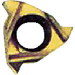 NOGA Carmex 나사 절단용 칩 ISO 미터 나사용 칩 사이즈 8×P0.75×60° 08IR0.75ISOBXC 10개