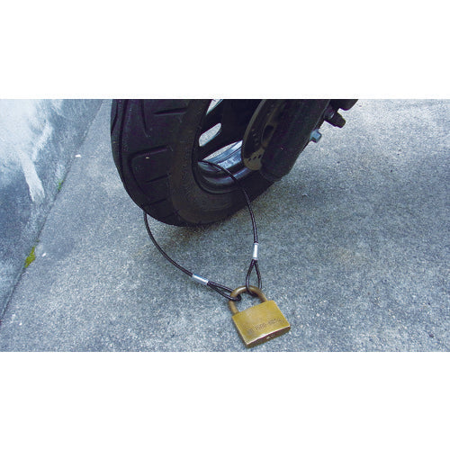 Nissa Chain Iron Cut Wire Transparent PVC Coating 3 (4.3) x 545 mm (1 piece = 1 PK) Y-61 1 piece