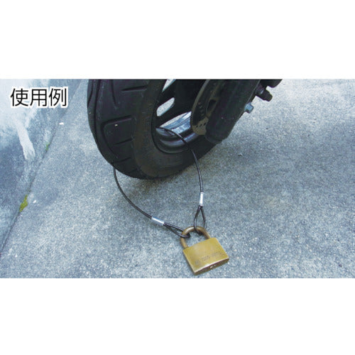 Nissa Chain Iron Cut Wire Transparent PVC Coating 3 (4.3) x 1040 mm (1 piece = 1 PK) Y-62 1 piece