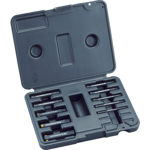 BONDHUS Hex Lobe Socket Replacement Set Torx Bit (Total Length 50mm/Pro Hold Bit) Set of 9 (T15-T60) PHTX9L-2C 1 S