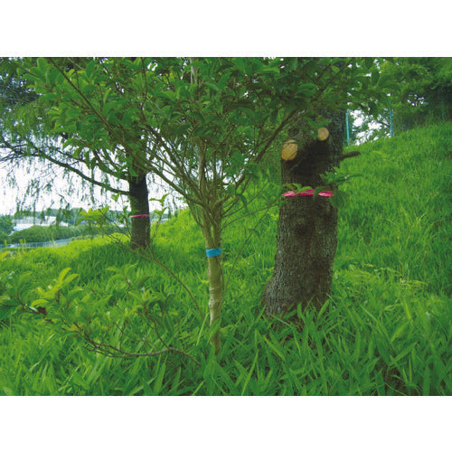 TRUSCCO 마크 테이프 30mmX50m 블루 TMT-30B 1권