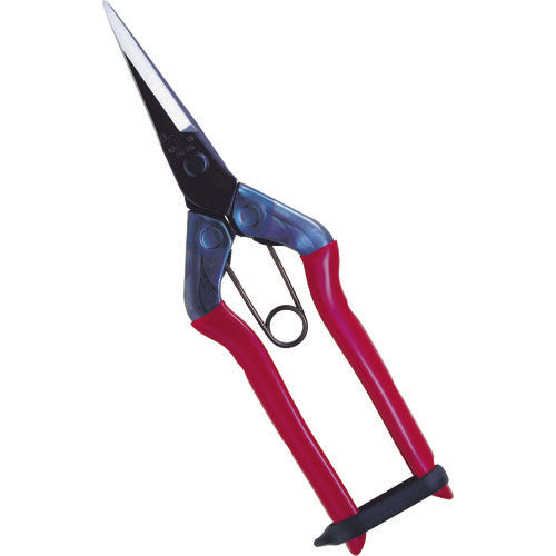 치카 마사 싹 가위 T-550 1 쵸