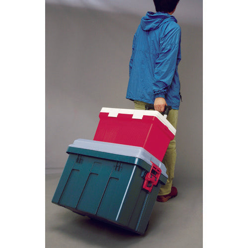 IRIS 538497 RV Carry 650 Gray/Dark Green RV650C 1 unit