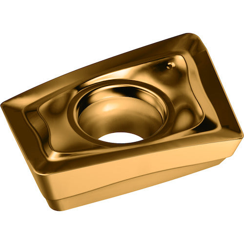 왈터 밀링 가공용 마름모형 포지칩 WSP45G LDMT170408R-D57 10개