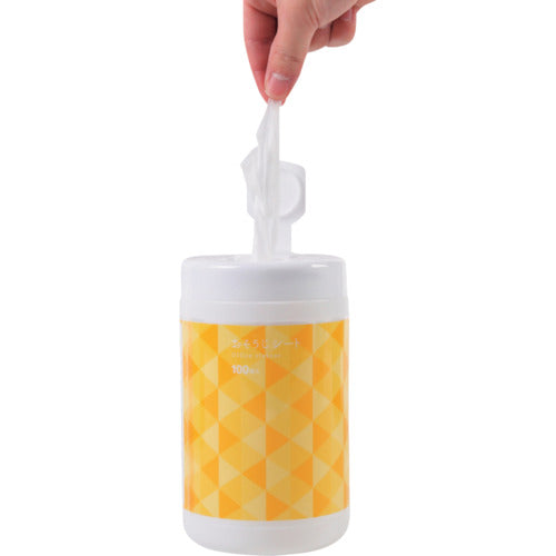 IRL Cleaning Sheet Bottle OS-001 1 piece