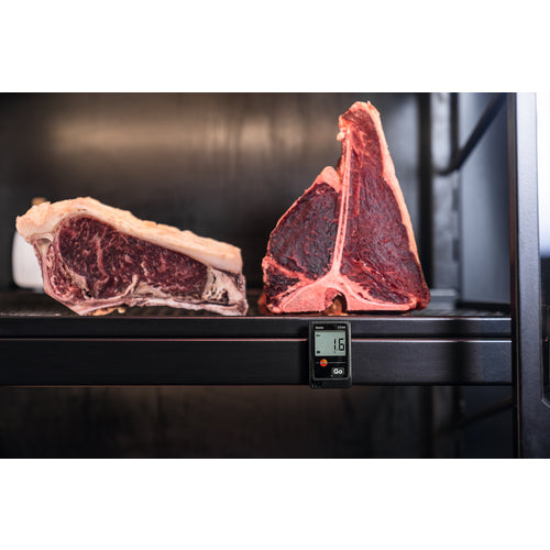 TESTO Temperature and Humidity Data Logger Testo 174H Set TESTO174H-S 1 S