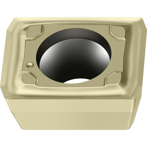 ワルター 穴あけ加工用 長方形チップ WXP40 LCMX050203-D57 10 個