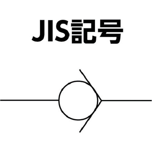 일본 정기 고압 라인 체크 밸브 20A BN-9L21H-20-CFB-V 1개
