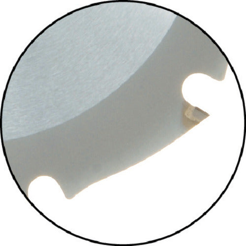 IWOOD チップソー(建材用) プレミアム オールダイヤモンド Φ100 8P 99380 1 枚